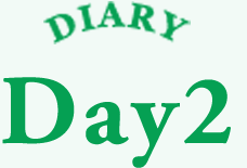 DIARY Day2